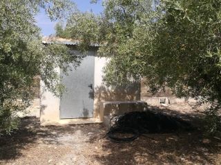 Property in Almeria