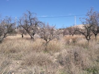 Property in Almeria