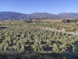 Propiedad en Almeria