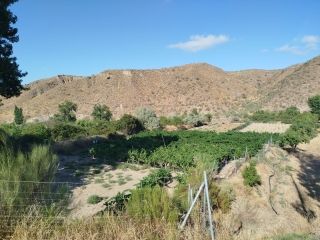 Property in Granada