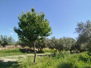 Property in Almeria